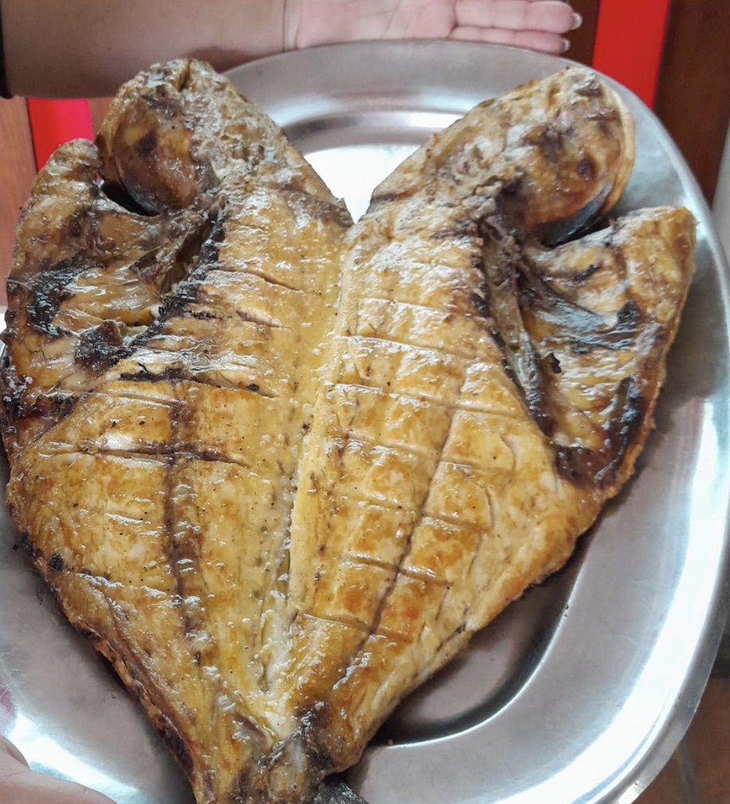 Imagem de 07-05-25 à(s) 12.07 Imagem de 07-05-25 à(s) 12.07